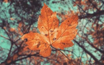 Herbst & Winter Angebote