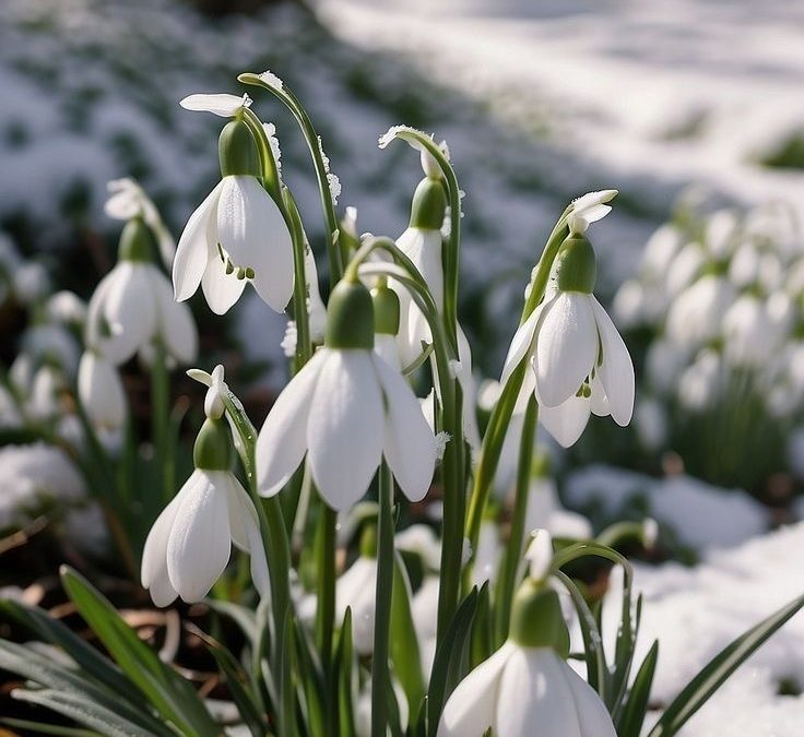 Früh­ling & Som­mer Ange­bo­te