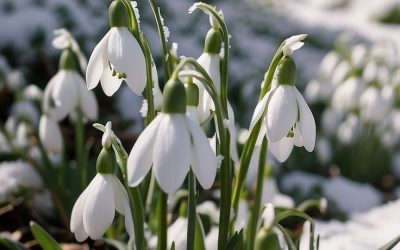 Früh­ling & Som­mer Ange­bo­te